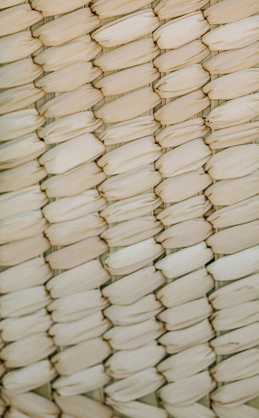 Casa Bella Vida - Basket - Picnic